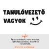 Több színben és méretben Vicces tanulóvezető matrica 5, autómatrica 1.