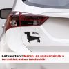Több színben és méretben tacskó autómatrica 5, kutyás matrica autóra 2