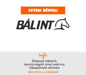 Lovas-bicikli-nev-matrica-futobicikli-nev-matrica-gyerek-bicikli-matrica-11