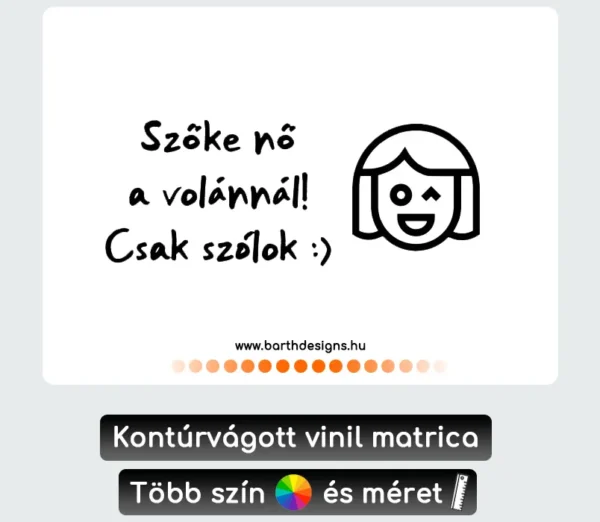 Több varációban női tanulóvezető matrica v11, csajos autómatirca