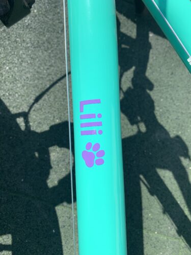 Több variációban tappancs gyerek bicikli név matrica, futóbicikli név matrica photo review