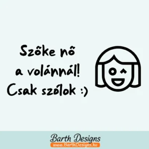 Több variációban női tanulóvezető matrica v11-1