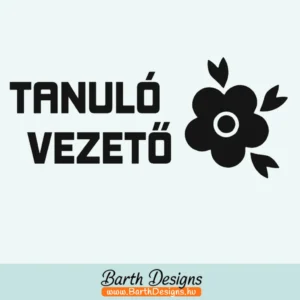 Több variációban női tanulóvezető matrica v4-1