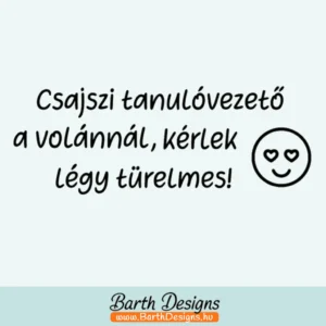 Több variációban női tanulóvezető matrica v5-1