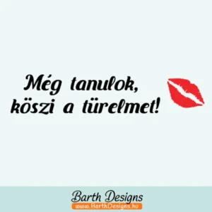 Több variációban női tanulóvezető matrica v6-1