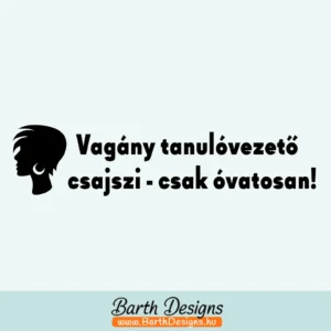 Több variációban női tanulóvezető matrica v8-1