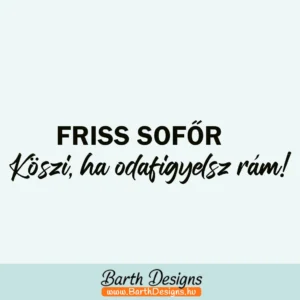 Több variációban női tanulóvezető matrica v9-1