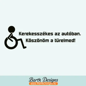 Több variációban mozgássérült matrica v3-1